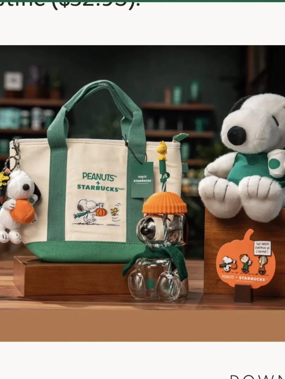 Lot of 5 Starbucks Peanuts Snoopy glass, mini tote, bag charm, plush, pin set